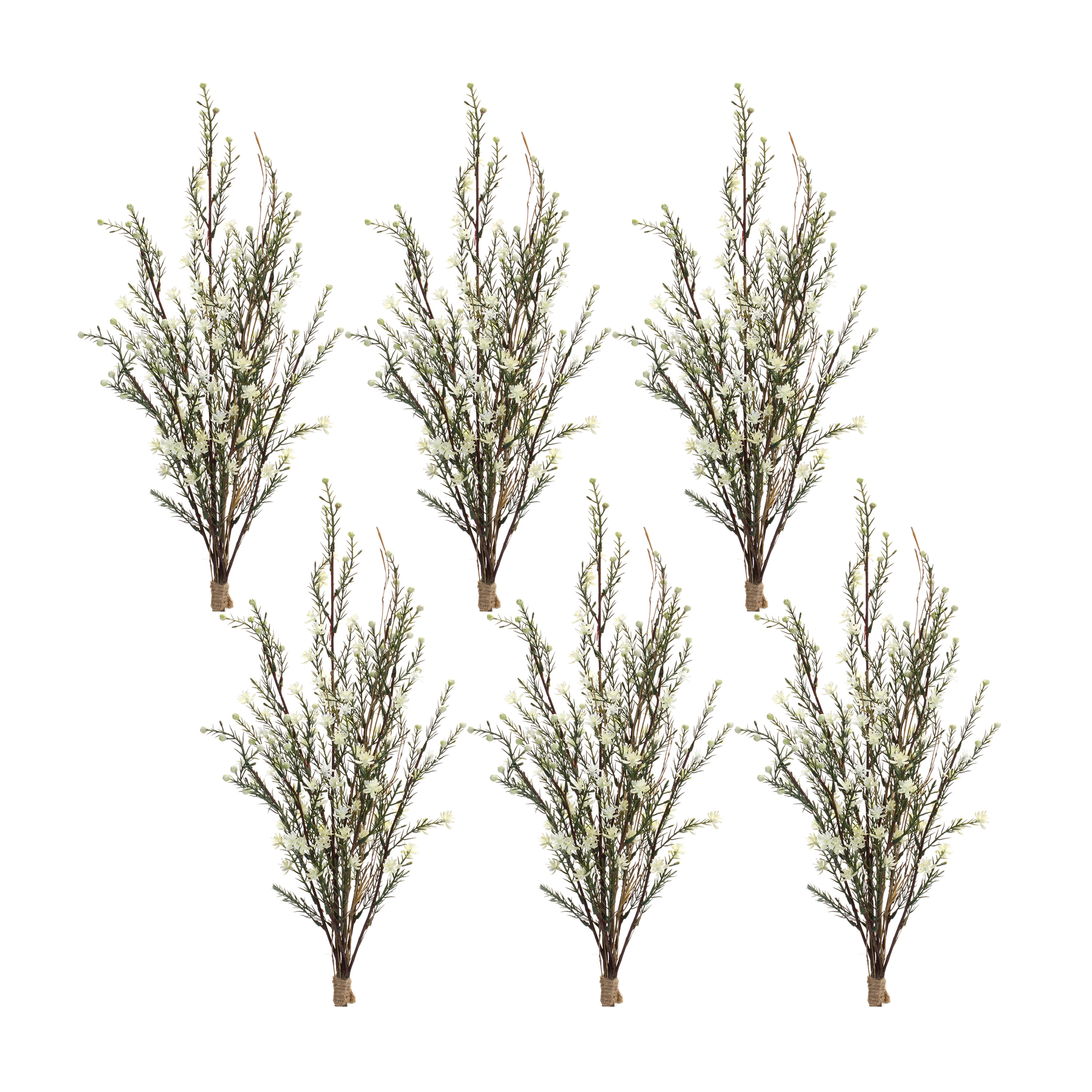 Primrue Pickens Pine Stems, Bushes, And Sprays Arrangement