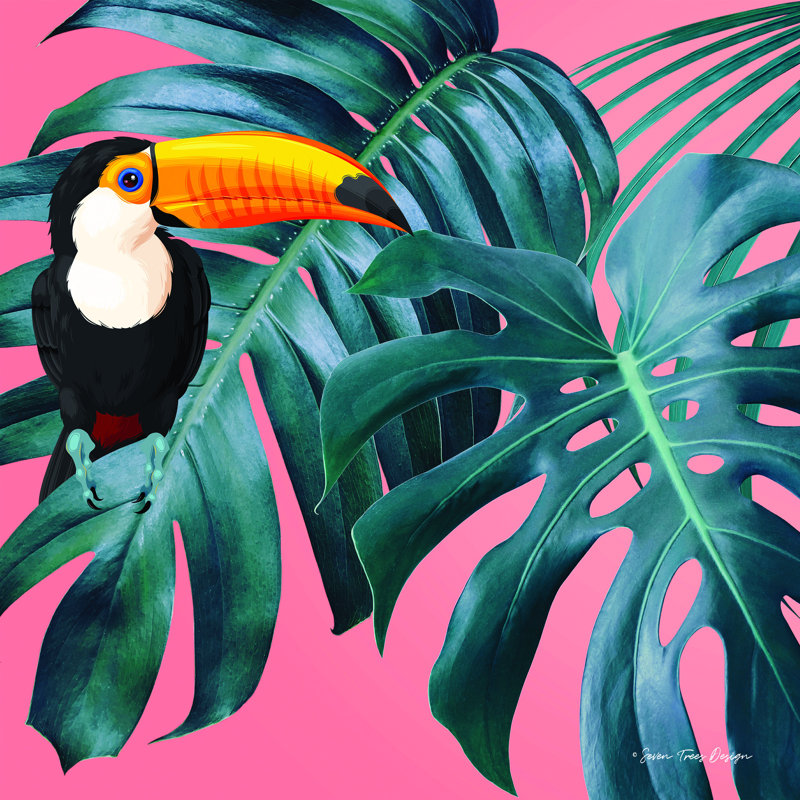 «The Toucan» par Seven Trees Design - impression sur toile tendue, L 36 po x H 36 po