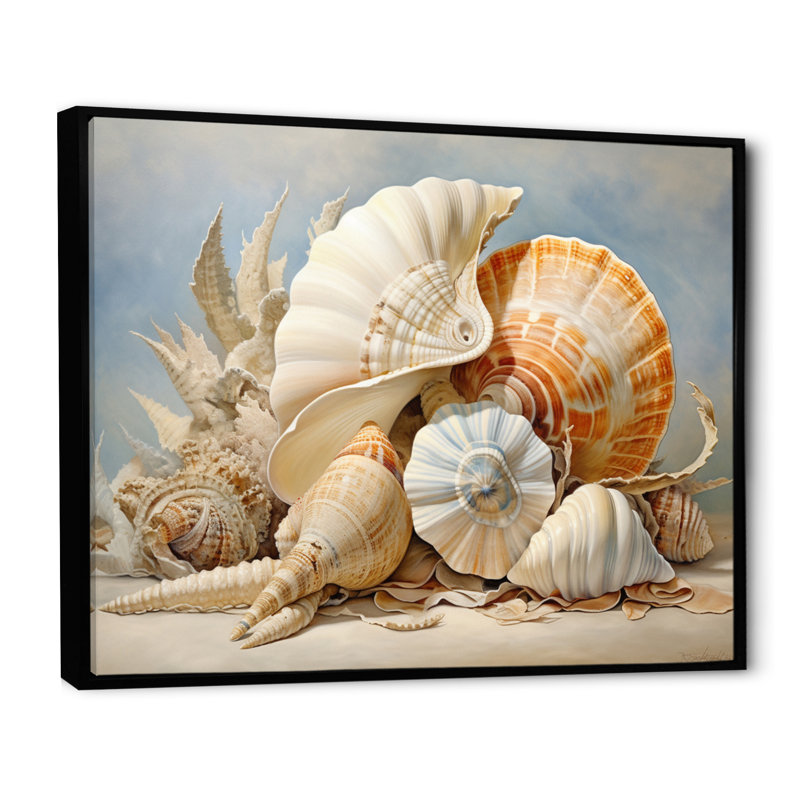 Collage de coquillages contemporains, H 12 po x l 20 po x P 1 po, Cadre flottant noir