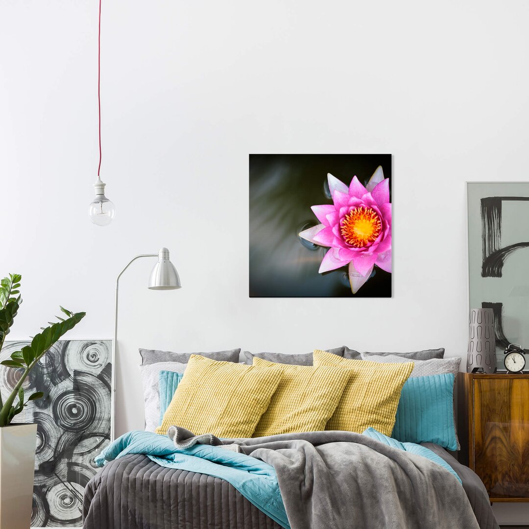 Leinwandbild Blume mit dunklem Untergrund