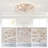 Caged Ceiling Fans with Lights-918829818