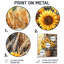 Petrella - tournesols, art en métal-1443786710
