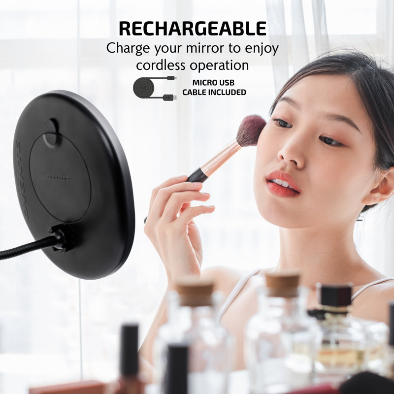 Antique Black Oval LED Wall Mounted Magnifying Mirror