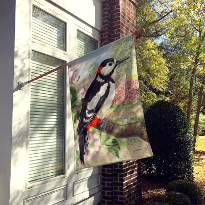 Woodpecker Double Sided 40'' H x 28'' W Polyester Animal House Flag