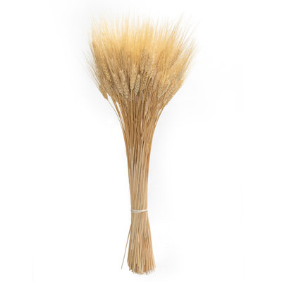 25'' Wheat Grass