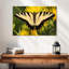 Machaon perché-107704702