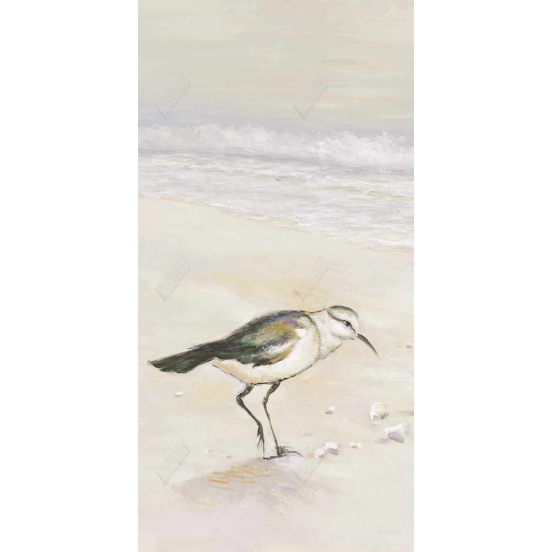 Toile de bécasseau semipalmée - Décoration d'oiseau de plage