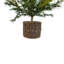 SEASONAL GREENERY TREE S/2 PINE BSKT 2FT