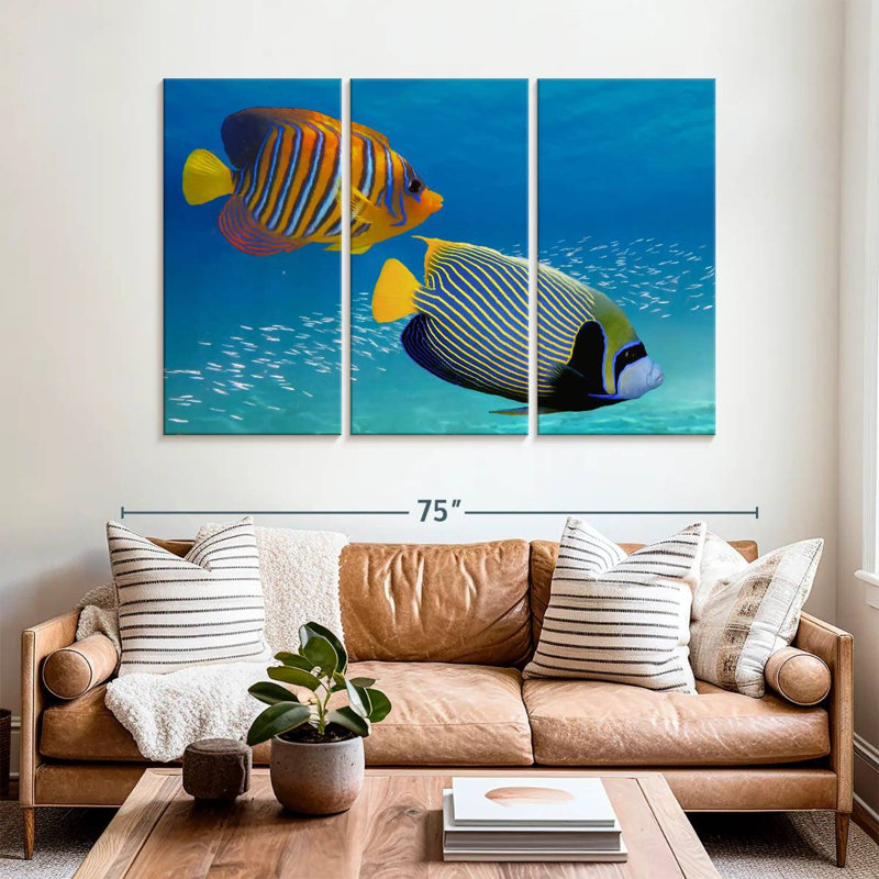Poisson-ange exotique empereur, H 42 po x l 65 po