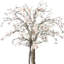 Magnolia Tree in Stone Pot