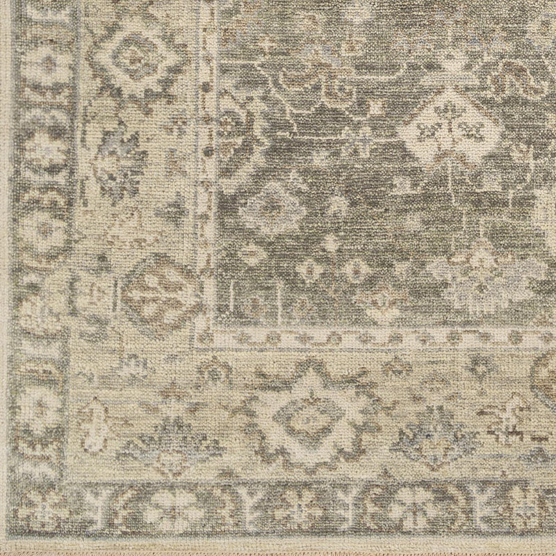 Biscayne Wool Oriental Area Rug, Rectangle 2' x 3'