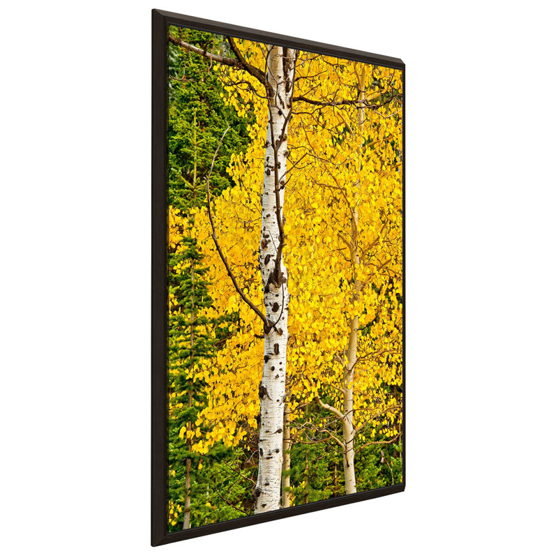 «Sunny Blooms», reproduction de photo, H 33,5 po x l 21,5 po x P 2 po, Cadre flottant espresso