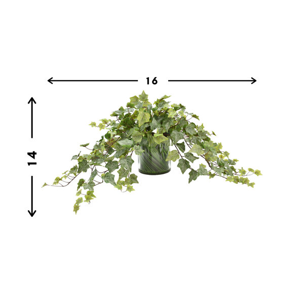 Primrue Rockdale Organic Modern Faux Ivy Plant & Reviews