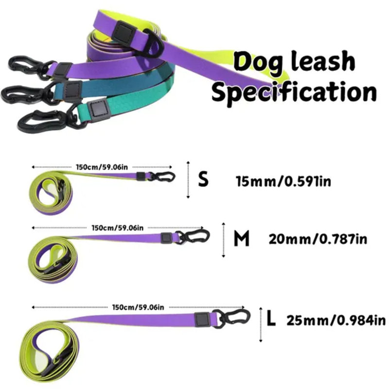 Ensemble de laisse imperméable pour chien en tpu avec collier, cordon d'entraînement antidérapant robuste en nid d'abeille