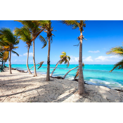 Shoal Bay East - Wrapped Canvas Print