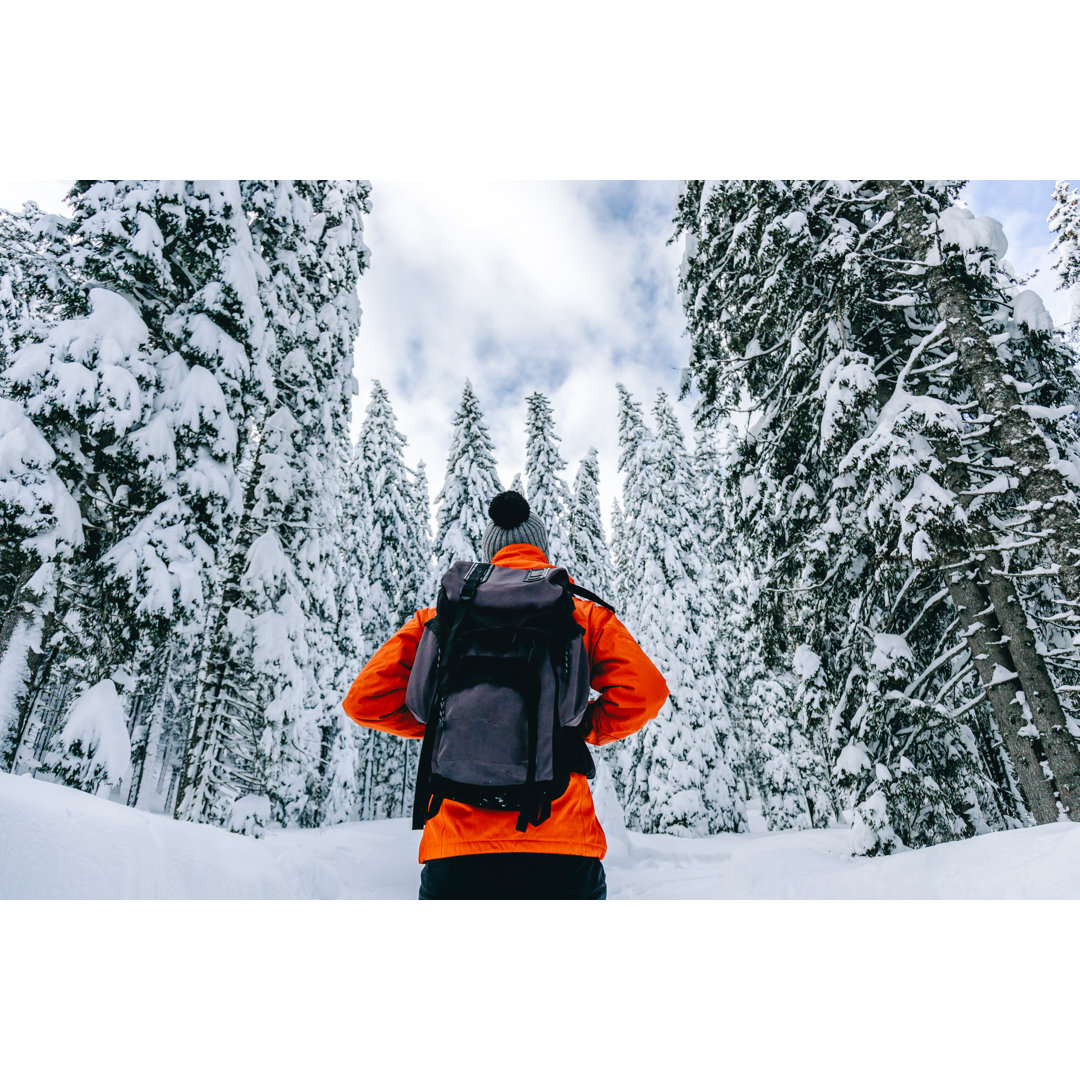 Spaziergang im Winterwald