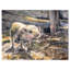 Aquarelle de cochon peinte - imprimé animal de ferme-29495615-34270889