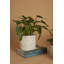 Handmade Pot Planter