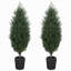 Lot de 2 sapins de Noël artificiels en cèdre de 1,20 m, résistants aux UV, avec branches en PE et embouts en pot, pour la décoration de votre maison ou terrasse pendant les fêtes.