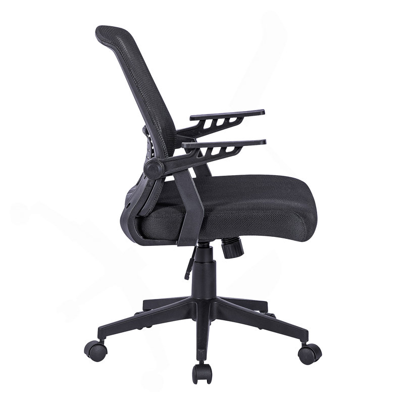 Chaise de bureau avec structure en plastique, plastique, pivotant, support lombaire, hauteur réglable, roulettes