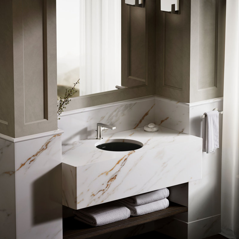 Verticyl Ceramic Vitreous China Circular Undermount Bathroom Sink with Overflow, Black Black