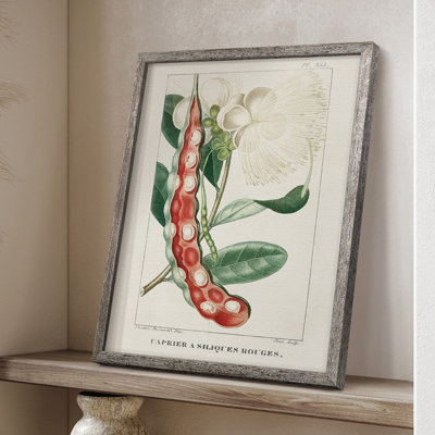 «Turpin Tropical Botanicals», reproduction encadrée en bois massif