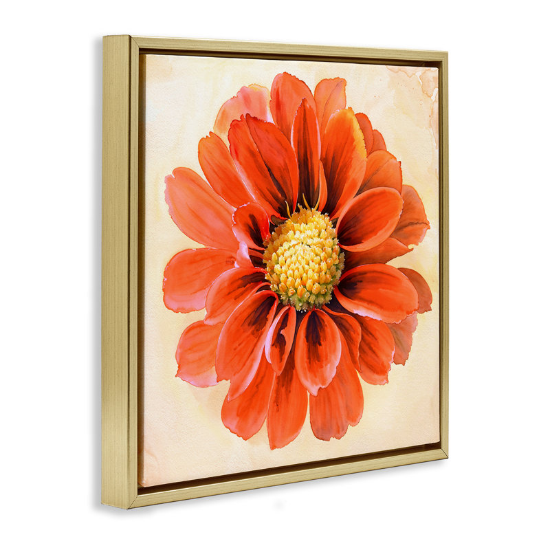 «Orange Dahlia Bloom», art mural encadré par Christine Zalewski, Cadre flottant métallique doré, H 18 po x l 18 po