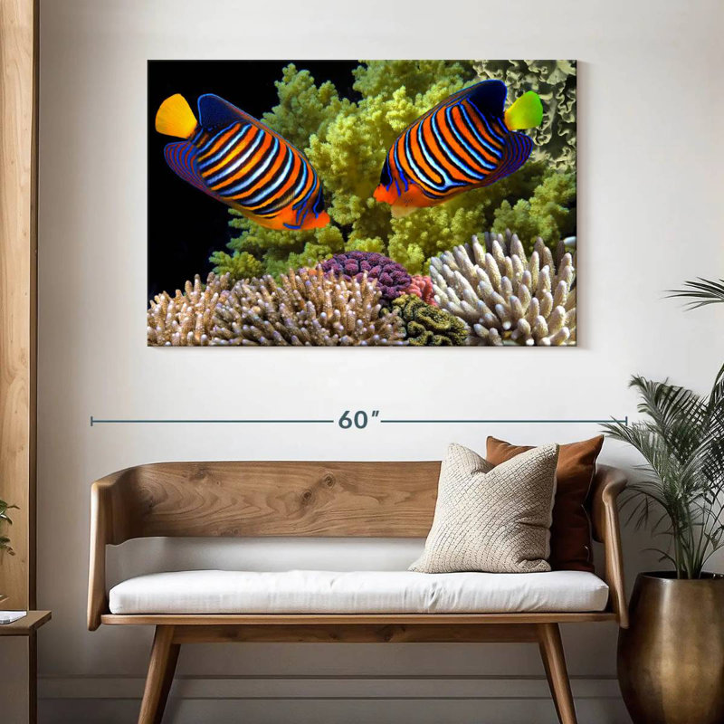 Brampt Red Sea Reef Regal Angelfish, 32" H x 48" W