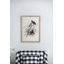S/2 Bird Framed Print, 19.5X27.5"