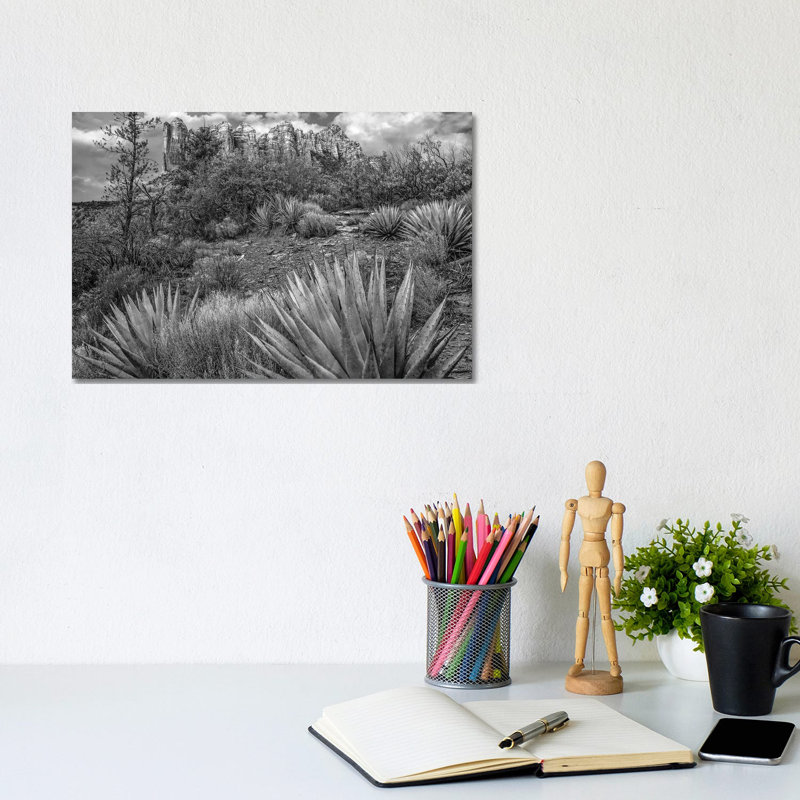 Agave, Coffee Pot Rock Near Sedona, Arizona - Wrapped Canvas Print, 20.32 cm H x 30.48 cm W