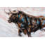 Ox Ox - peinture sur toile tendue-1595697338