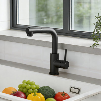 Robinet d'évier de bar moderne, évier de cuisine à poignée simple avec douchette extractible