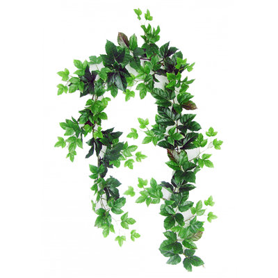 6 ft Maple Ivy Garland