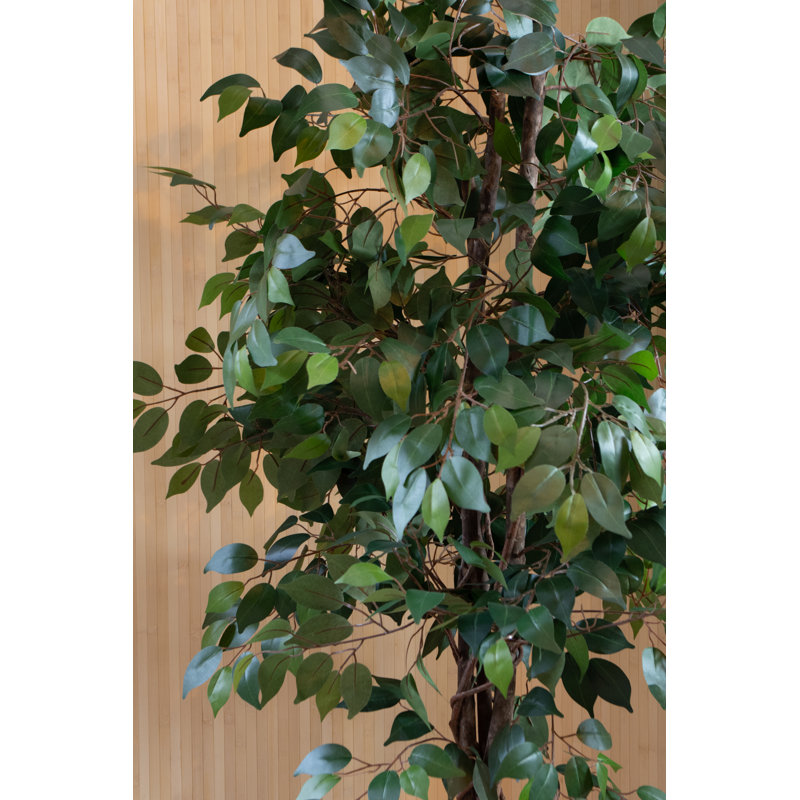 180cm Faux Ficus Tree Tree in Pot