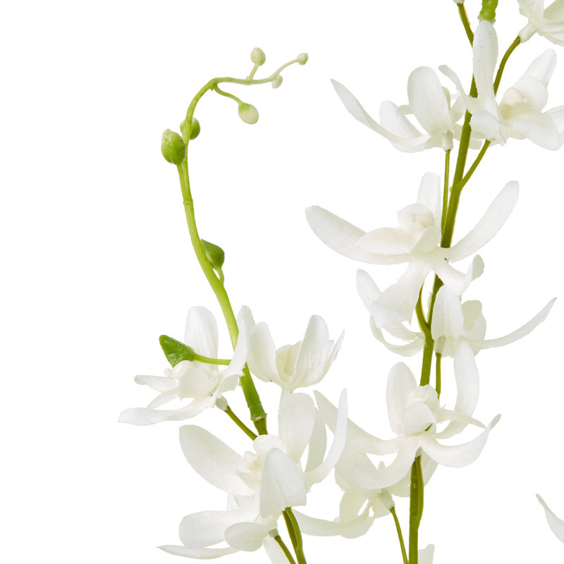 Anastasija Arrangement, White