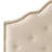 Button tufted design headboard with nailhead trim-2020287265