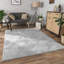 Ishpeming Solid Colour Area Rug-954966465