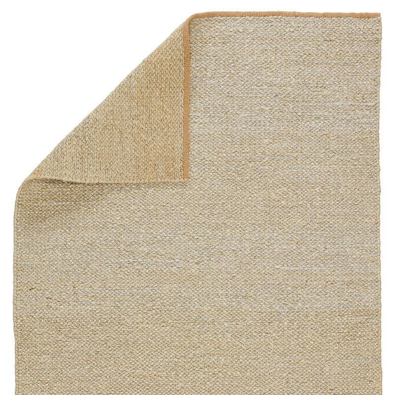 Jute / Sisal Area Rug in Angora/Oatmeal/Tuffet/Apple Cinnamon, Rectangle 2' x 3'
