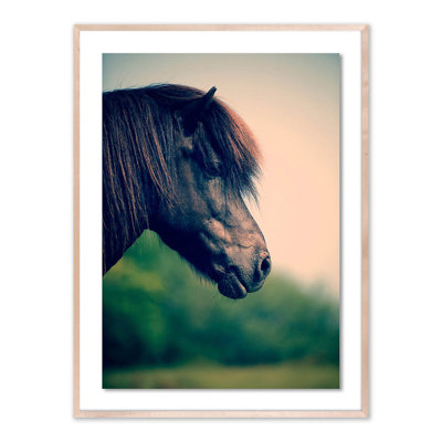 Horse Profile 5 Print by Pernille Westh