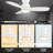 Frederikson 44'' Ceiling Fan with LED Lights-1612055236