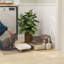 Metal Litter Box with Scoop
