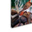 Dugazon «Red Tailed Hawk», impression sur toile tendue-21998443
