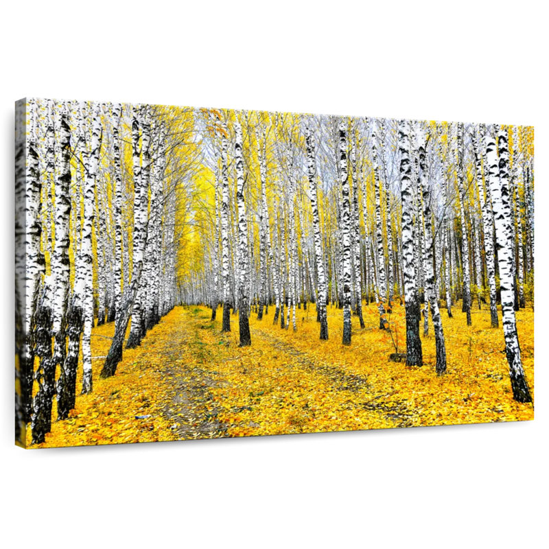 Bouleau Forestland
