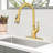 GAWEZA Pull Down Kitchen Faucet