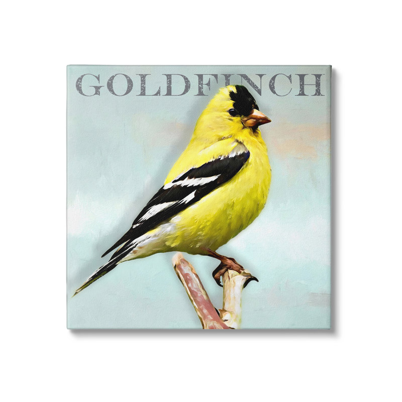 Portrait d'un oiseau chardonneret jaune, texte rustique par Alpenglow, L 17 po x H 17 po, Toile tendue