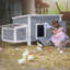 Poulailler 9,78 pieds carrés avec perchoir Alena pour 3 poulets-713647268