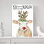 Were You Expecting Rudolph Christmas Cow by Cindy Jacobs - Wrapped Canvas Print-1617444336