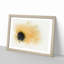 Pale Yellow Gerbera in Abstract - Picture Frame Painting Print-55735254-55735253