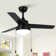 Vaczon 42" 3 - Blade Modern Ceiling Fan with Light Kit and Pull Chain