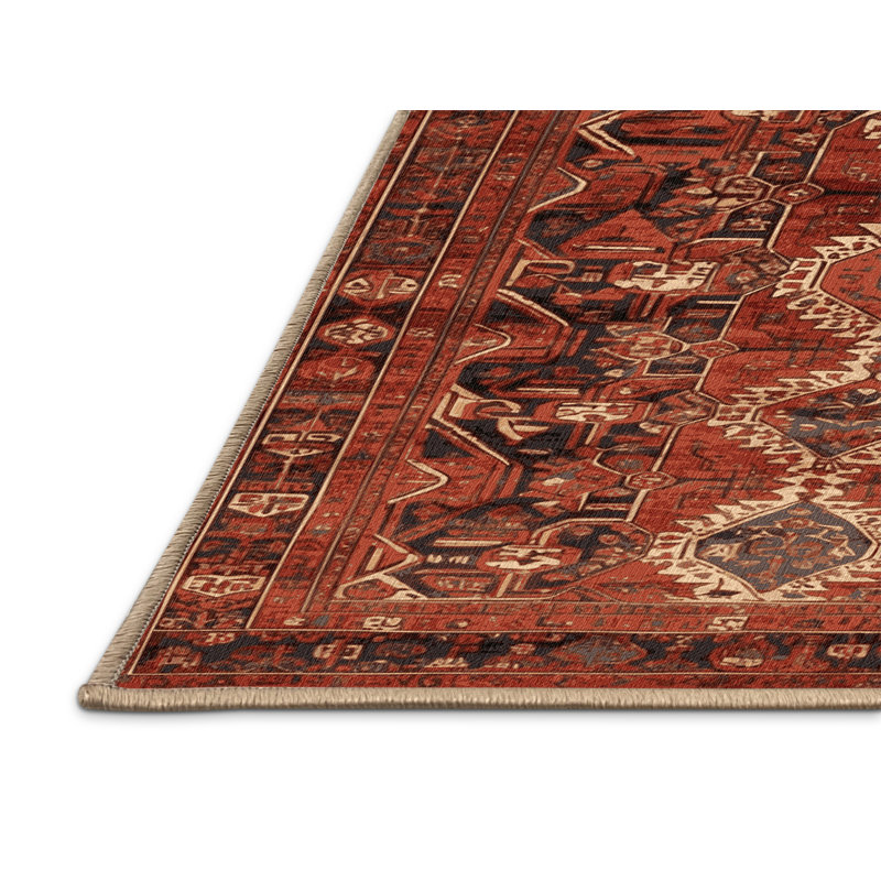 Tapis brun lavable à la machine, Rectangle 5 pi x 7 pi